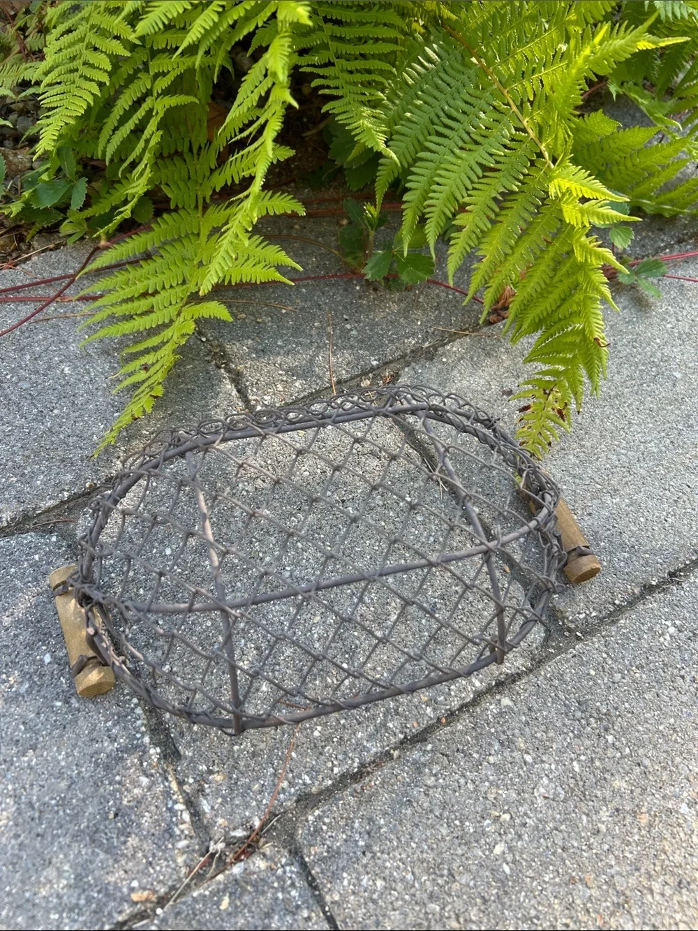 Rustic Wire Basket Tray with Wood Handles
